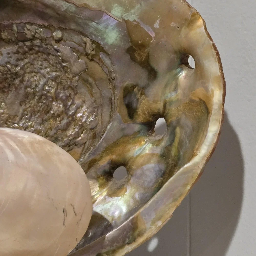 Vintage 60s Abalone Shell Lamp Mother of Pearl Coastal Beach Decor Night Light